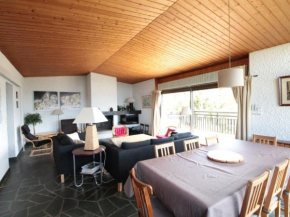 Chalet 5 ch, 11 pers, terrasse sud, Les Carroz - FR-1-572-115